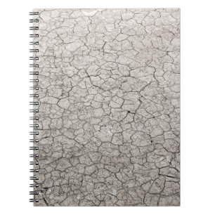 Carnet Concept mondial du vermifuge - la terre brûlée fis