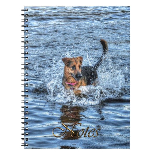 Carnet Conception de chiens pour les amateurs de moules (Devant)
