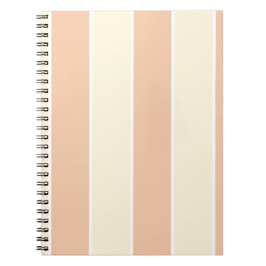 Carnet Conception de motif à rayures verticales de couleu (Devant)