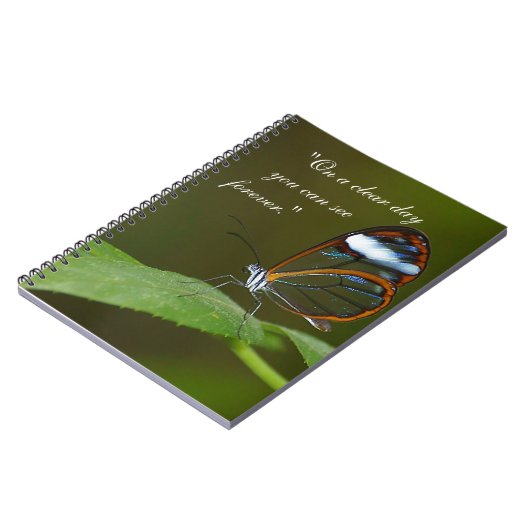 Carnet Conception de papillon de Glasswing "temps clair" (Côté gauche)