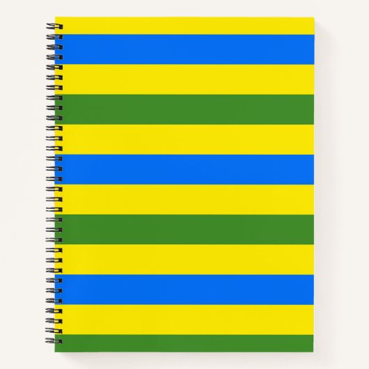 Carnet Conception de rayures bleues vertes et jaunes (Devant)