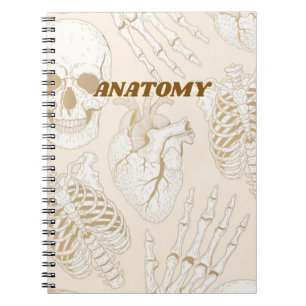 Carnet Conception esthétique médicale squelette anatomie 
