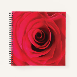 Carnet Conception florale de rose rouge