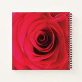 Carnet Conception florale de rose rouge (Dos)