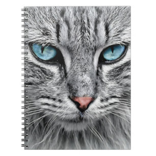 Carnet Conception fractale face chat-10682