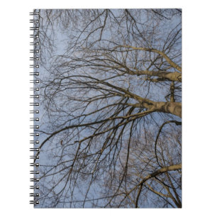 Carnet Conception/motif de tronc d'arbre. Pioineer Park,