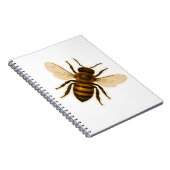 Carnet Conception réaliste de l'abeille miel (Côté Droit)