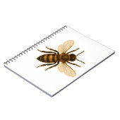 Carnet Conception réaliste de l'abeille miel (Côté gauche)