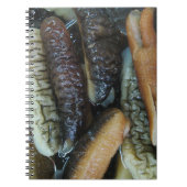 Carnet Concombre de mer ... Nourriture du marché du Yaowa (Devant)