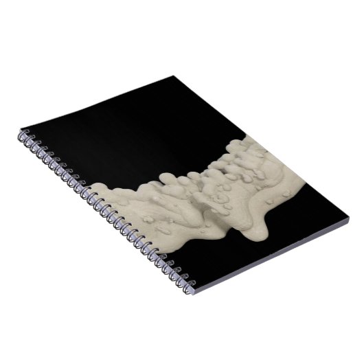 Carnet Concrétion d'argile (Côté Droit)