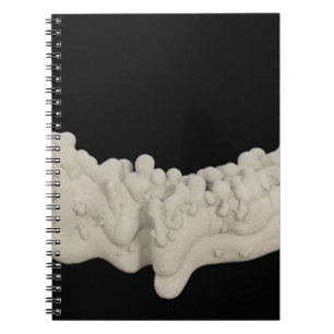 Carnet Concrétion d'argile
