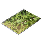 Carnet Cône de semences Bald Cypress (Côté gauche)