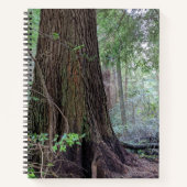 Carnet Conifères géants dans une forêt (Devant)