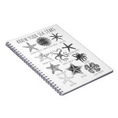 Carnet Connaissez vos étoiles de mer - Groupes Starfish (Côté Droit)