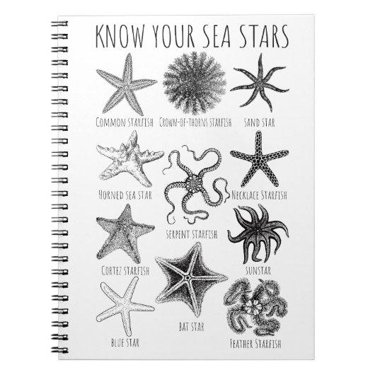 Carnet Connaissez vos étoiles de mer - Groupes Starfish (Devant)
