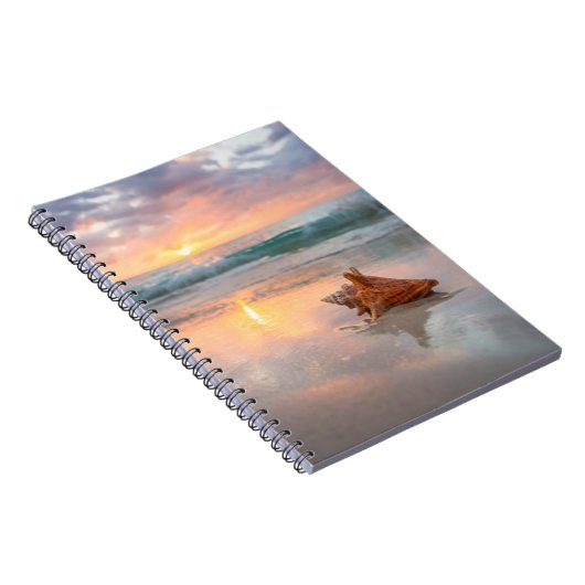 Carnet Conque Shell sur la plage | Jamaïque (Côté Droit)