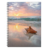 Carnet Conque Shell sur la plage | Jamaïque (Devant)