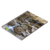 Carnet Conservation de Jewel Of Henning (Côté gauche)