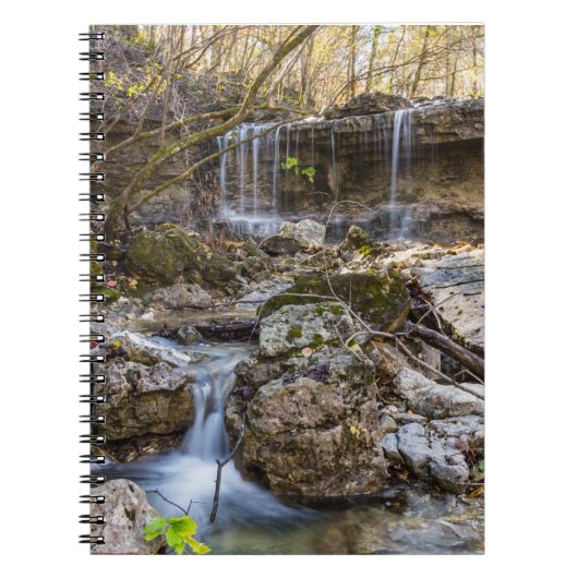 Carnet Conservation de Jewel Of Henning (Devant)