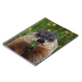 Carnet Consommation de marmotte de printemps (Côté gauche)