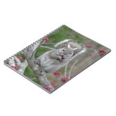 Carnet Consommation d'écureuil (Côté gauche)