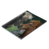 Carnet Contact miniature de chevaux (Côté gauche)