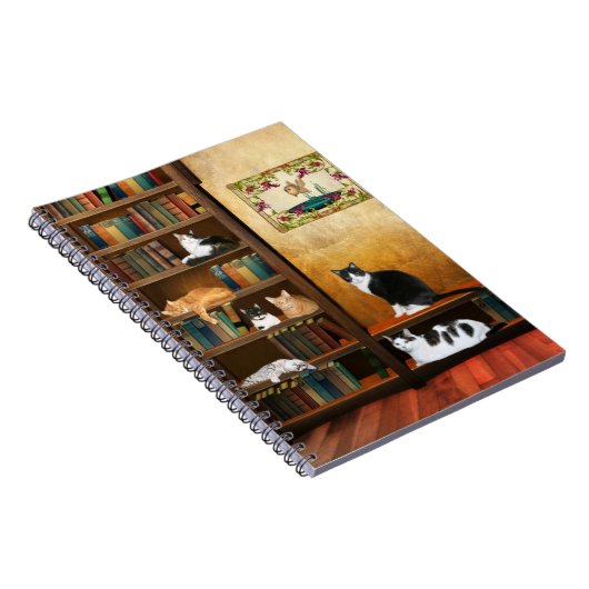 Carnet Contes de chats (Côté Droit)