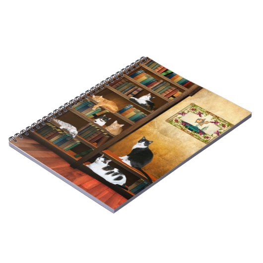 Carnet Contes de chats (Côté gauche)