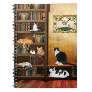 Carnet Contes de chats