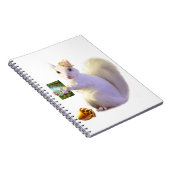 Carnet Contes de destin de Farlandia Ozette (Côté Droit)