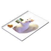 Carnet Contes de destin de Farlandia Ozette (Côté gauche)