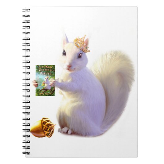 Carnet Contes de destin de Farlandia Ozette (Devant)