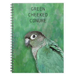 Carnet Conure verte à mâcher - bel oiseau