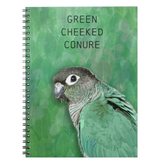 Carnet Conure verte à mâcher - bel oiseau (Devant)