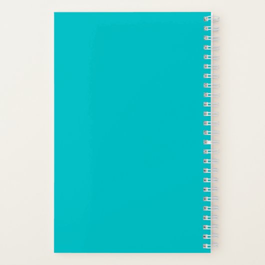 Carnet Cool Candy Lollipop Plutôt (Verso)