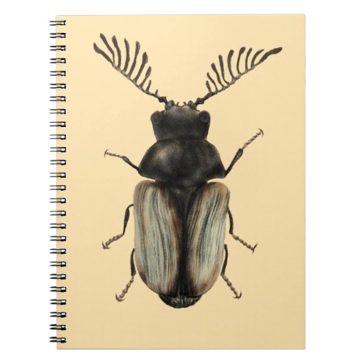 Carnet Cool dendroctone insecte amant entomologie art (Devant)