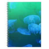 Carnet Cool Jellyfish Green Blue Gradient (Devant)