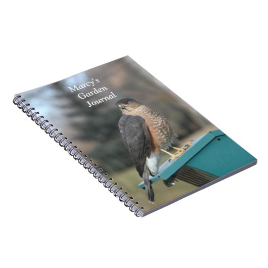 Carnet Coopers Hawk (Côté Droit)