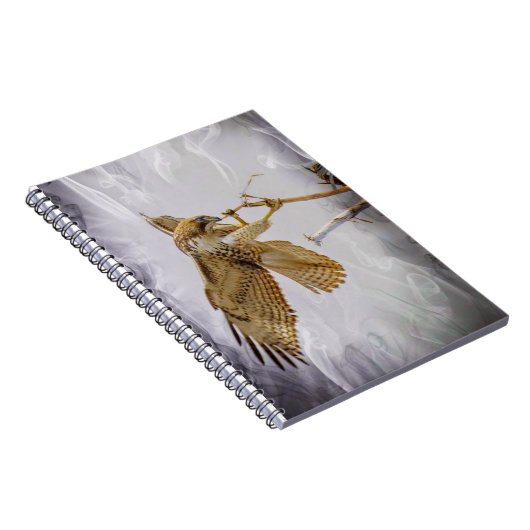 Carnet Coopers Hawk (Côté Droit)