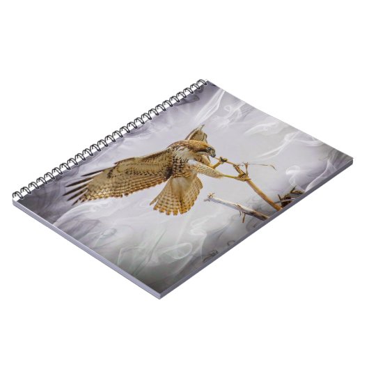 Carnet Coopers Hawk (Côté gauche)