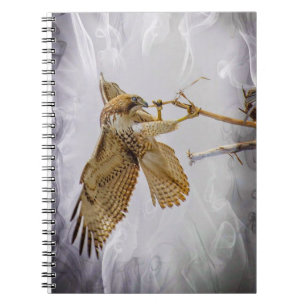 Carnet Coopers Hawk