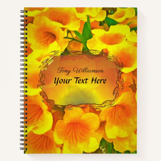 Carnet Copa de Oro (Devant)