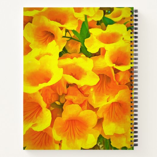 Carnet Copa de Oro (Dos)