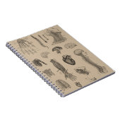 Carnet Copie vintage d'anatomie (Côté Droit)