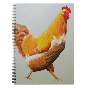 Carnet Coq