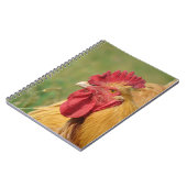 Carnet Coq Buff (Côté gauche)