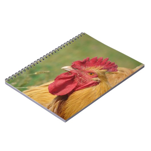 Carnet Coq Buff (Côté gauche)