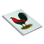 Carnet Coq de combat américain : Brun Rouge (Côté Droit)