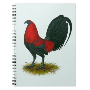 Carnet Coq de combat américain : Brun Rouge