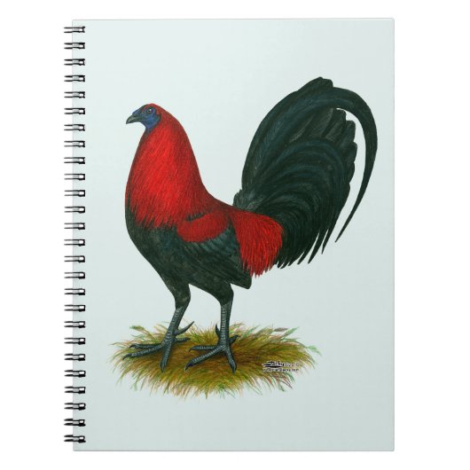 Carnet Coq de combat américain : Brun Rouge (Devant)